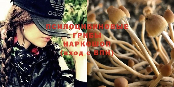 дурь Беломорск