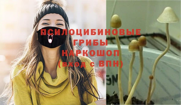 дурь Беломорск