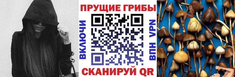 Галлюциногенные грибы Psilocybine cubensis  Горняк 