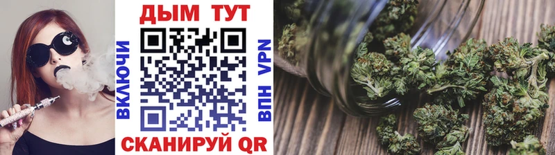 купить наркоту  Горняк  KRAKEN как зайти  Бошки Шишки SATIVA & INDICA 